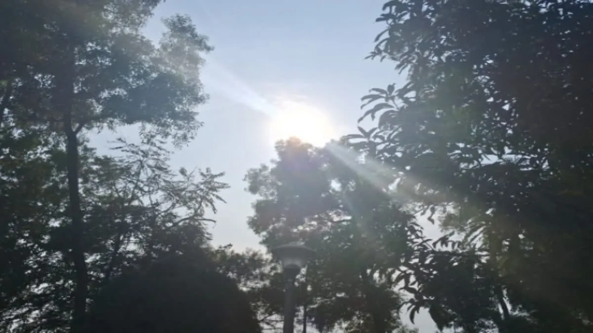 Jharkhand Monsoon Update: मानसून की कमजोर शुरुआत; झारखंड में सामान्य से 59% कम बारिश, किसानों की बढ़ी चिंता