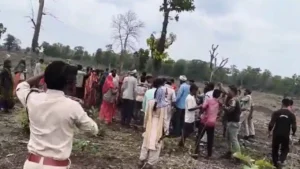 खंडवा: अतिक्रमण हटाने गई वन विभाग की टीम पर हमला, 8 वनकर्मी घायल; वर्दी फाड़ने और पथराव का वीडियो वायरल