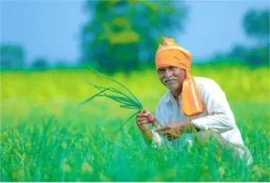 Haryana Development: हरियाणा सरकार का बड़ा फैसला; 1468 करोड़ की 32 विकास परियोजनाओं को मिली मंजूरी