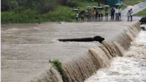 Ratlam Weather Update: रतलाम में रातभर हुई रिमझिम बारिश से बदला मौसम; तापमान में गिरावट के बाद उमस से लोग बेहाल