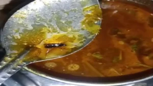 Shivpuri News: छात्रावास की छात्राओं का फूटा गुस्सा; दूषित भोजन और बदहाल सुविधाओं को लेकर पहुंचीं कलेक्ट्रेट