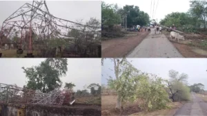 Balod Storm News: बालोद में चक्रवाती तूफान का तांडव; BSNL टावर गिरा, 50 से अधिक पेड़ धराशायी, गांव में ब्लैक-आउट