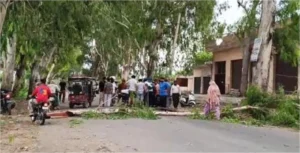 Gurdaspur Accident: हरदोषनी रोड पर मोटरसाइकिल सवार पर गिरा सफेदे का टहना; व्यक्ति गंभीर रूप से घायल