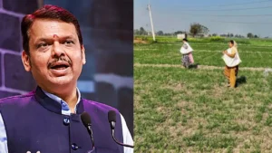 Maharashtra Mahila Kisan Sashaktikaran Bill: महिला किसानों को मिलेगा स्वतंत्र दर्जा; महाराष्ट्र सरकार का ऐतिहासिक विधेयक मंजूर
