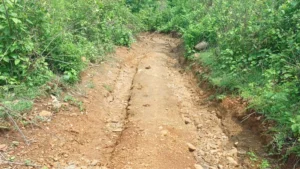 Latehar News: आजादी के 78 साल बाद भी गवालखाड़ गांव में नहीं पहुंची बुनियादी सुविधाएं, सड़क-पानी के लिए तरस रहे आदिवासी