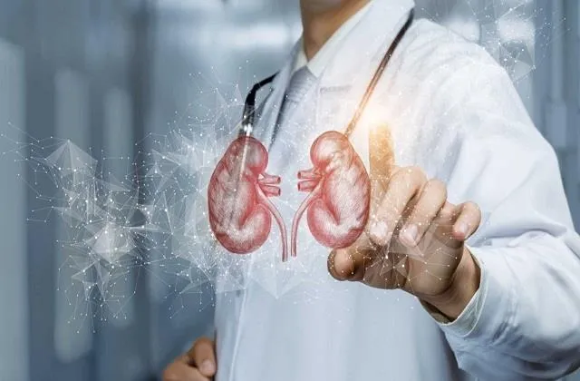 Kidney Cancer Symptoms: सिर्फ दर्द ही नहीं, शरीर के ये 7 संकेत भी हो सकते हैं किडनी कैंसर का इशारा