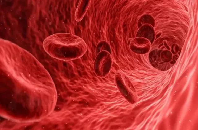 Kidney Cancer Symptoms: सिर्फ दर्द ही नहीं, शरीर के ये 7 संकेत भी हो सकते हैं किडनी कैंसर का इशारा