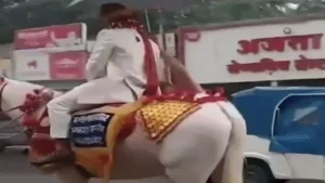 Trending News Indore: ‘टिंकू जिया’ गाने पर डीजे और सिर पर छाता… सोशल मीडिया पर छाया इस मिनिमल बारात का वीडियो