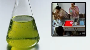 गलती से एसिड या टॉयलेट क्लीनर पी लें तो शरीर में क्या होता है? जानिए तुरंत अपनाए जाने वाले उपाय