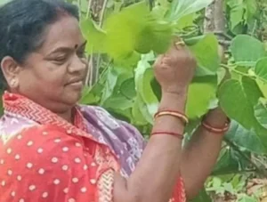 CG Congress: फूलोदेवी नेताम के डिनर से गरमाई सियासत, क्या छत्तीसगढ़ को मिलेगा नया कांग्रेस प्रदेश अध्यक्ष?