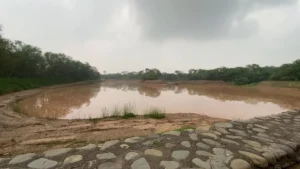 चंडीगढ़ में तेज बारिश के अलर्ट के बाद सुखना झील पर चौकसी बढ़ी! फ्लड गेट पर 24 घंटे निगरानी, जानें जलस्तर का हाल