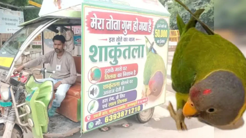ग्वालियर में गुमशुदा तोते ‘शकुंतला’ के लिए 50 हजार का इनाम: ढोल-लाउडस्पीकर से तलाश में जुटा ओझा परिवार, रो-रोकर बुरा हाल