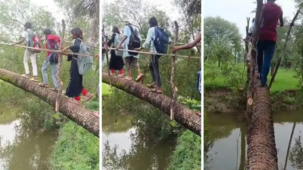 ‘पढ़ेगा इंडिया’ के दावों की खुली पोल: प्रतापगढ़ में पेड़ के तने के सहारे नाला पार करने को मजबूर मासूम