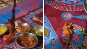 खंडवा के ‘बिस्मिल्लाह होटल’ में स्वास्थ्य सुरक्षा से खिलवाड़, मटन कोल्हापुरी के पार्सल में मिला आधा मरा चूहा