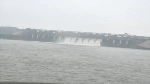 शहडोल में मूसलाधार बारिश से उफान पर सोन नदी: लबालब हुआ बाणसागर डैम, खोले गए 6 गेट; 4 जिलों में अलर्ट