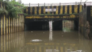एमपी में मानसून का रौद्र रूप: 3 सितंबर तक अति भारी बारिश और बिजली गिरने का अलर्ट; रीवा, सतना, भोपाल समेत कई जिले सतर्क