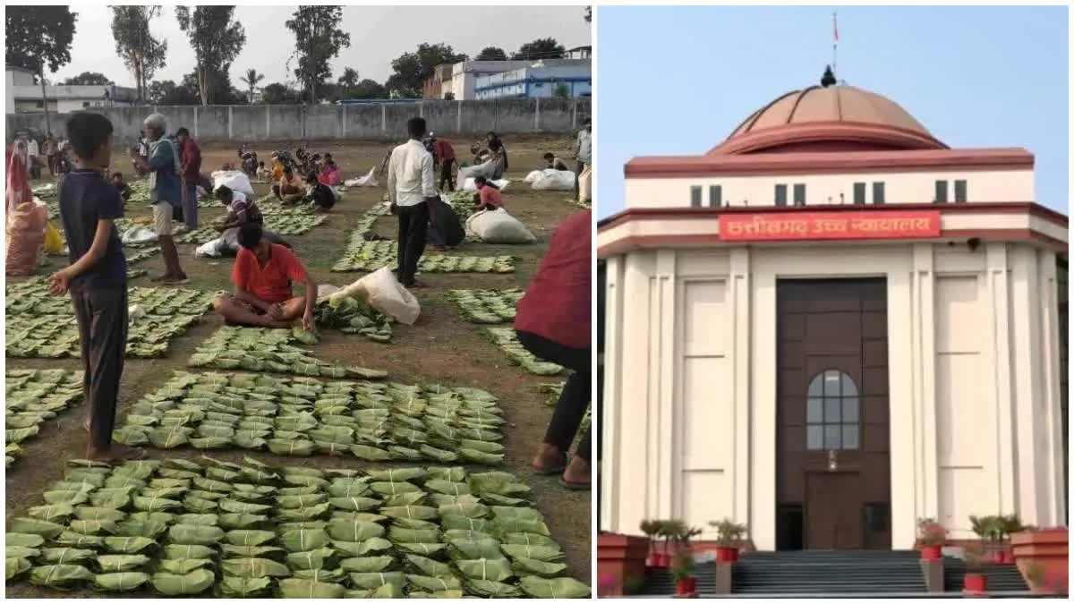 छत्तीसगढ़ हाईकोर्ट का बड़ा फैसला: तेंदूपत्ता कारोबारियों से 2% ABS वसूली वैध, जैव विविधता बोर्ड के आदेश के खिलाफ याचिकाएं खारिज