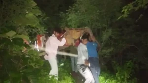 सड़क नहीं तो खाट बनी सहारा; धार के कोठिडा में पहाड़ी से कंधे पर लादकर अस्पताल पहुंचाया एक्सीडेंट का घायल