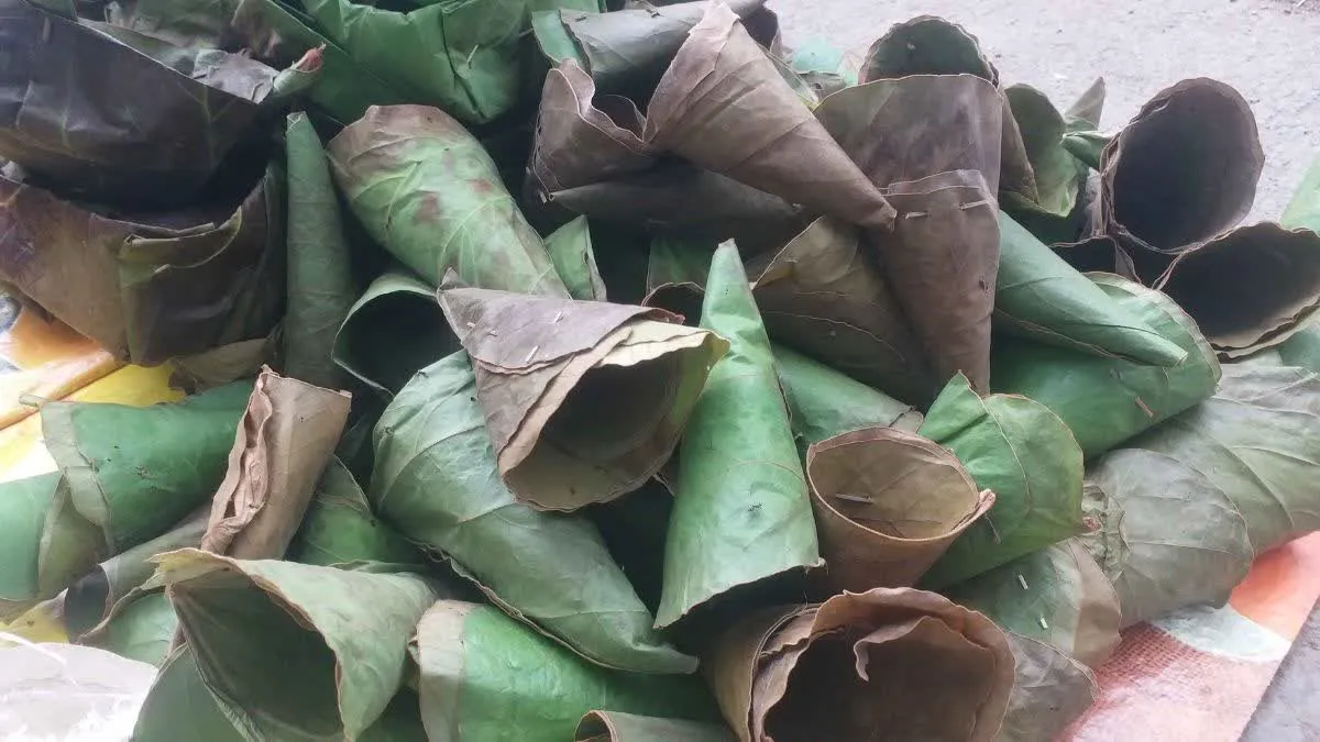 छिंदवाड़ा: सावन-भादों में पलाश के पत्तों से जीवंत हो रही सदियों पुरानी परंपरा, आजीविका और आस्था का अनूठा संगम