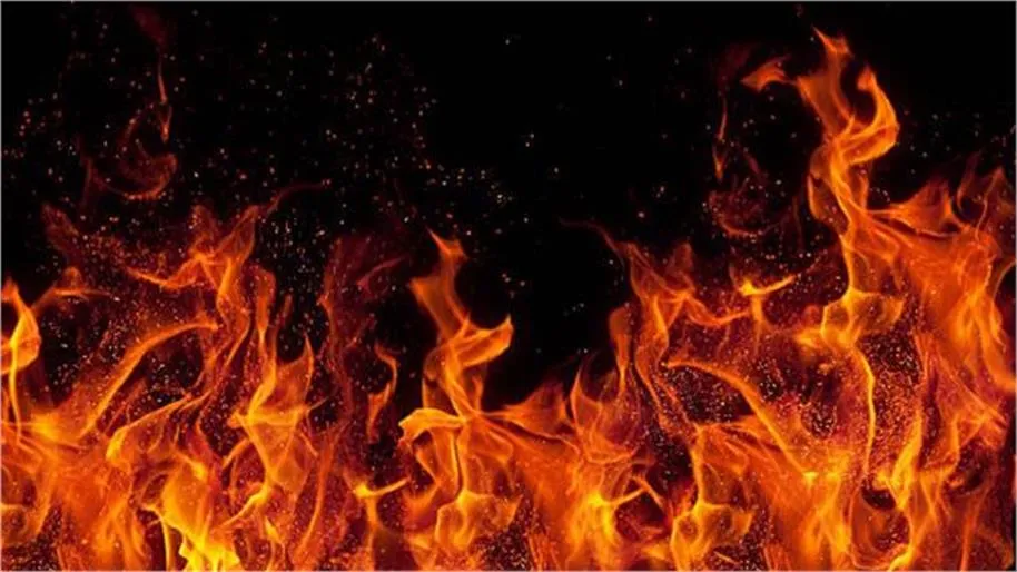 लुधियाना में दुस्साहसिक वारदात: बंद मकान से लाखों का सोना, कैश व विदेशी करंसी चोरी, सबूत मिटाने को कमरे में लगाई आग