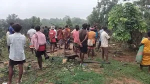 जशपुर में हाथियों का तांडव: 16 हाथियों के दल ने झोपड़ी में सो रहे 70 वर्षीय बुजुर्ग को सूंड में लपेटकर पटका, मौके पर मौत