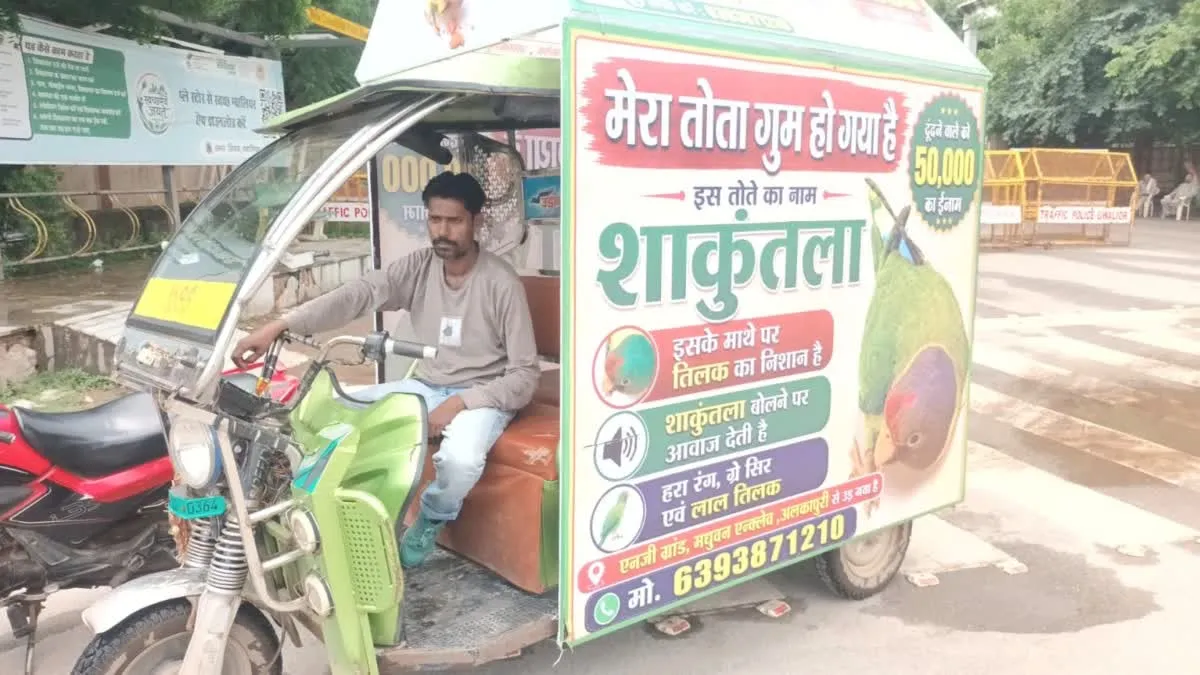 ग्वालियर में गुमशुदा तोते ‘शकुंतला’ की तलाश: ढूंढने वाले को मिलेगा 50 हजार का इनाम, गली-गली में हो रही मुनादी