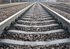 Jalalabad News: डीएवी हॉल्ट के पास ट्रेन के नीचे आकर युवक ने की खुदकुशी, चक मन्ने वाला निवासी लवप्रीत की मौत