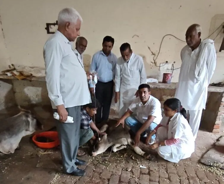 Sewa Sankalp Abhiyan Bhiwani: भिवानी की गोशालाओं में पशु स्वास्थ्य कैंप और हवन का आयोजन, लंपी बीमारी से बचाव पर जोर