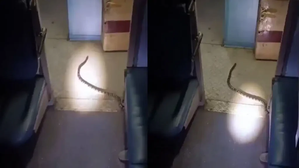 Katihar Express Viral Video: रात में कोलकाता जा रही ट्रेन के कोच में दिखा सांप; यात्रियों में मची अफरा-तफरी