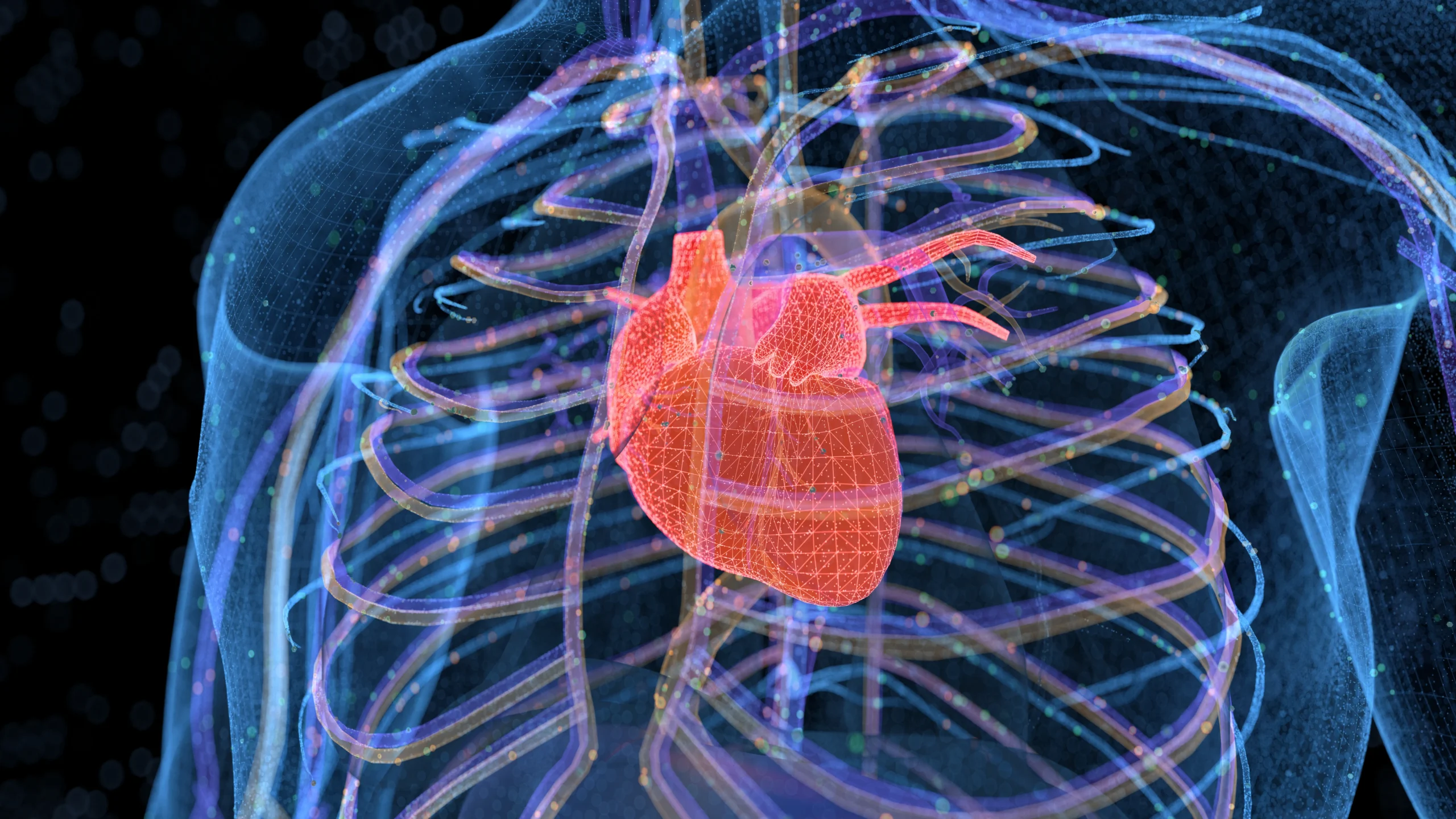 Angiography vs Angioplasty: एंजियोग्राफी और एंजियोप्लास्टी में क्या है अंतर? कार्डियोलॉजिस्ट से समझें पूरा सच