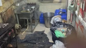 Bhopal News Today: फाइव स्टार होटलों में ग्राहकों की सेहत से खिलवाड़; फूड विभाग के छापे में सड़े मशरूम और कीड़े लगे मसाले जब्त