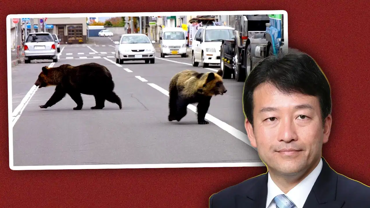Japan Bear Crisis: जापान में क्यों बढ़ रहा है भालुओं का खतरा? सरकार ने उठाया बड़ा प्रशासनिक कदम