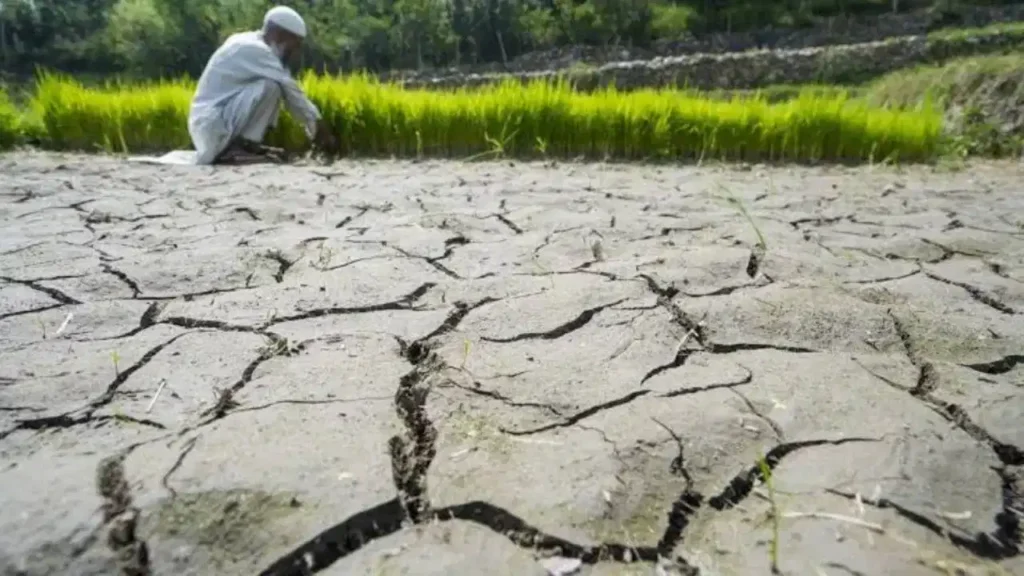 Maharashtra Drought Relief: बिजली बिल में छूट और लोन वसूली पर रोक, राज्य सरकार ने किसानों के लिए उठाया बड़ा कदम