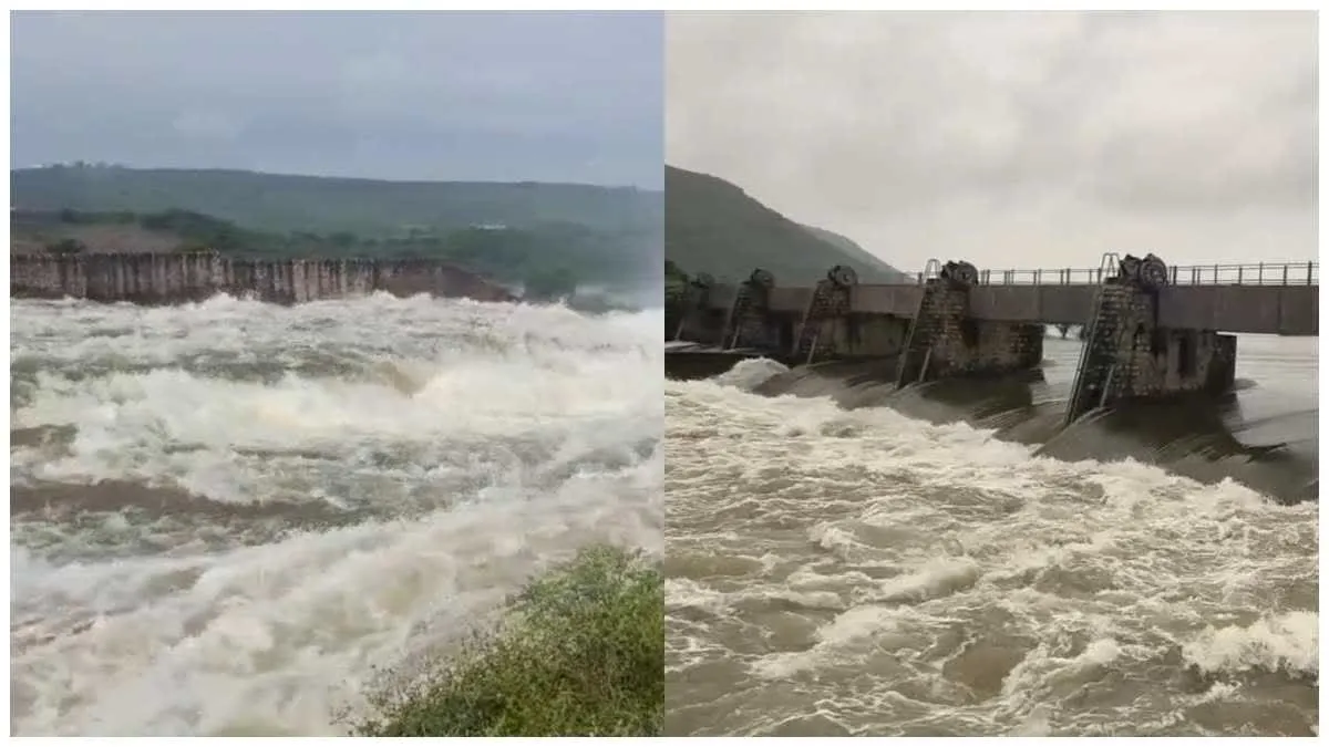 Morena Heavy Rain: मुरैना में फूटा भैंसोरा तालाब, सैकड़ों बीघा फसलें डूबीं; रीझौनी पुल पर चढ़ा सोन नदी का पानी