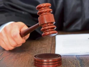 Legal Action on Youtuber: निशु आजाद और संजय आजाद के खिलाफ FIR की मांग, पटियाला हाउस कोर्ट ने पुलिस को दिया निर्देश
