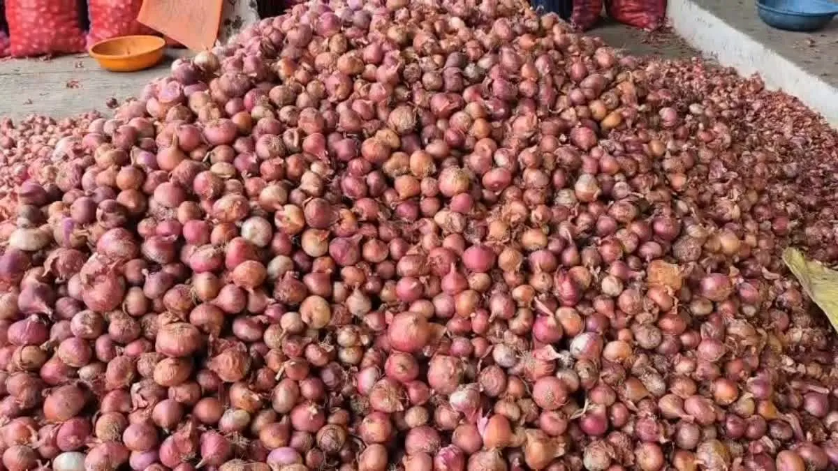 रतलाम मंडी में प्याज ₹45 तो बाजार में ₹60 किलो, बिचौलिए कमा रहे मुनाफा