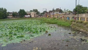 Jashpur News: जशपुर के ऐतिहासिक रानीसती (डोंगा) तालाब का बदलेगा स्वरूप; ₹4.17 करोड़ से होगा जीर्णोद्धार
