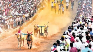 Maharashtra Farmer News: पुणे में किसान ने दिवंगत बैल ‘शाहिर’ की मूर्ति स्थापित कर पेश की अनूठी मिसाल, इलाके में हो रही है चर्चा