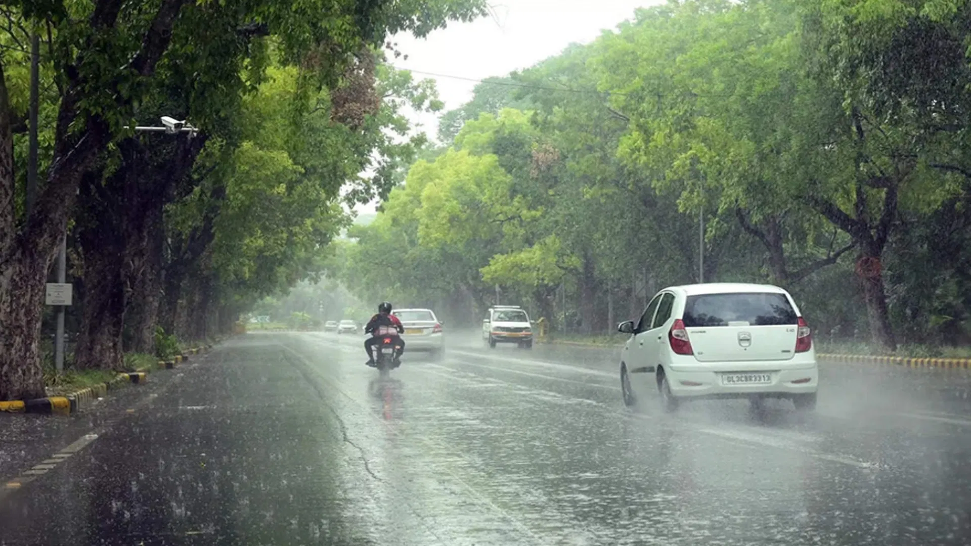Chhattisgarh Monsoon Update: छत्तीसगढ़ में फिर सक्रिय हुआ मानसून, बस्तर और रायपुर-दुर्ग संभाग में भारी बारिश का अलर्ट