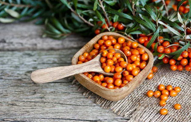 Sea Buckthorn Nutrition: स्किन चमकाने से लेकर डायबिटीज कंट्रोल करने तक, जानिए क्यों ‘वंडर बेरी’ कहलाता है सी बकथॉर्न