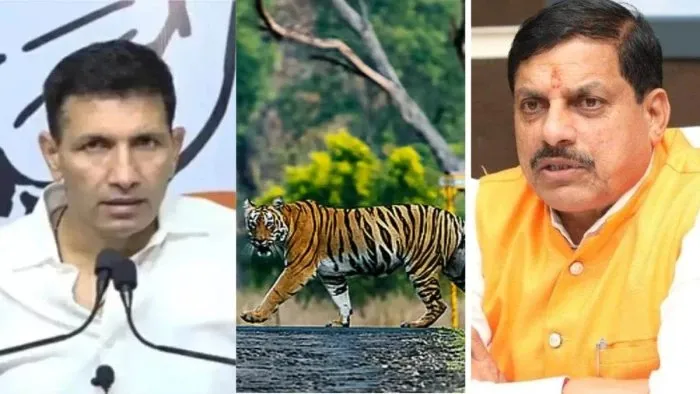 MP Politics News Jitu Patwari: ‘बाघों के कॉरिडोर में माइनिंग क्यों?’; कांग्रेस प्रदेश अध्यक्ष का सरकार पर बड़ा हमला, NTCA रिपोर्ट पर उठाए सवाल