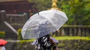 Haryana Weather Update: हरियाणा में फिर सक्रिय हुआ मानसून, 18 सितंबर तक झमाझम बारिश; यमुनानगर में आंधी-बिजली का अलर्ट