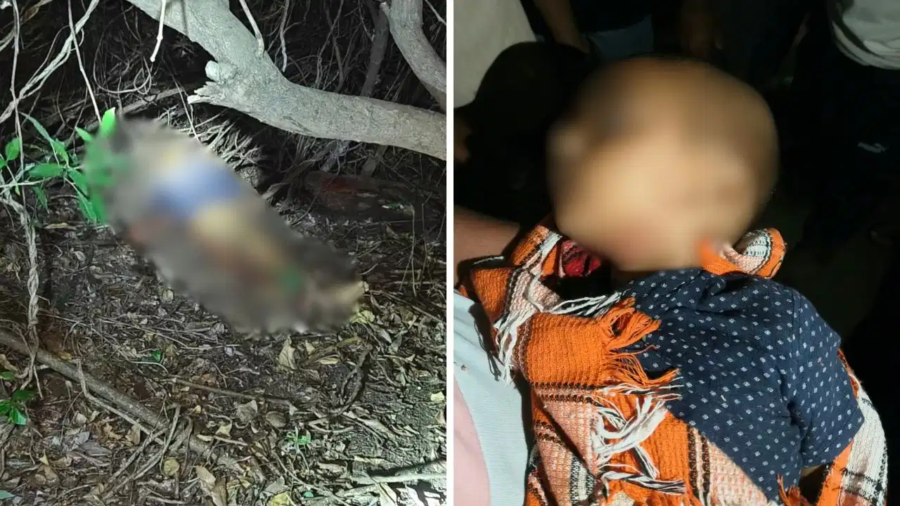 Leopard Attack in Maharashtra: बिजली कटते ही गन्ने के खेत में छिपे तेंदुए ने बोला हमला, मासूम बच्चे की दर्दनाक मौत