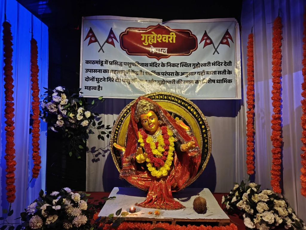 Dhamtari Navratri Pandal: धमतरी में अनोखा दुर्गा पंडाल, एक ही जगह पर हो रहे हैं देश-विदेश के शक्तिपीठों के दर्शन