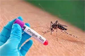 Haryana Dengue Alert: हरियाणा में डेंगू का डरावना प्रकोप, एक महीने में दोगुने हुए मामले; स्वास्थ्य विभाग ने जारी किए 53 हजार से ज्यादा नोटिस