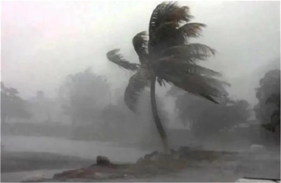 Haryana Weather Alert: हरियाणा में 10 और 11 अक्टूबर को आंधी-तूफान और तेज हवाओं का अनुमान, IMD ने जारी किया अलर्ट