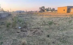 Faridkot News: फरीदकोट में खाली पड़े प्लॉटों को लेकर सख्त आदेश जारी, गंदगी फैलाने पर होगी कार्रवाई