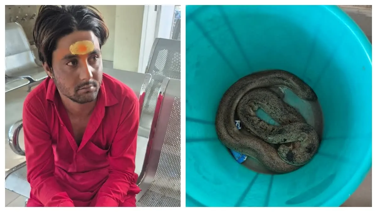 Ranchi Rare Snake Rescue: रांची में हरियाणा के युवक से दुर्लभ रेड सैंड बोआ सांप बरामद, अंतरराष्ट्रीय बाजार में है करोड़ों की कीमत