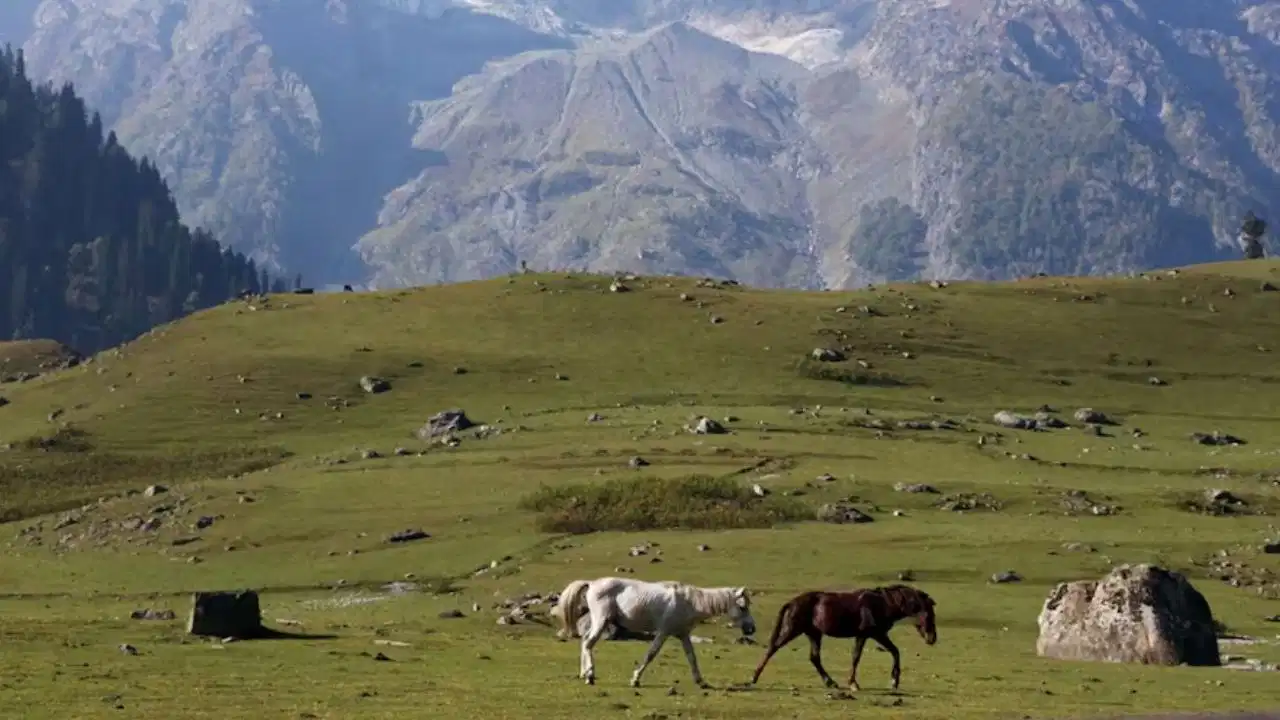 कश्मीर में मौसम का अनोखा मिजाज: अक्टूबर में गर्मी ने तोड़े सारे रिकॉर्ड, श्रीनगर और काजीगुंड में चढ़ा पारा