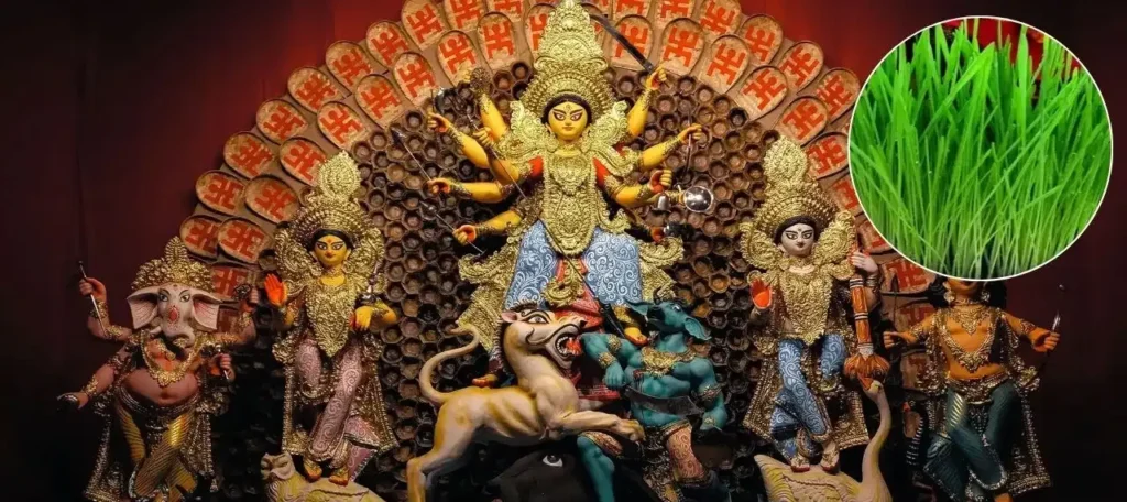 Navratri Ghatasthapana: शारदीय नवरात्रि में कलश स्थापना और जौ बोने की परंपरा का धार्मिक महत्व